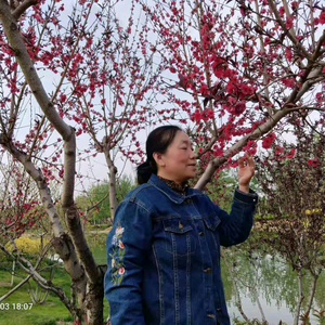 长子多彩农资头像