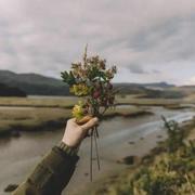 橘子味的柑子的个人资料头像