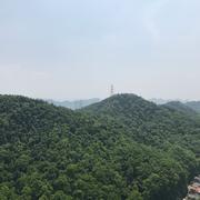小熊恋清风的个人资料头像
