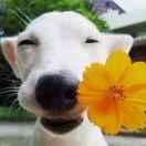 fish重名了44282的个人资料头像