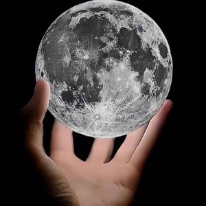 梦幻的动物世界头像