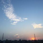 麻花42的个人资料头像