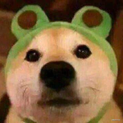 codercheng的个人资料头像