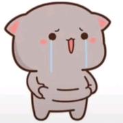 小屁屁的个人资料头像