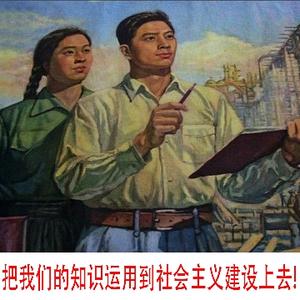 宝猪山八大队头像