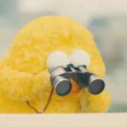 侃不丸的个人资料头像