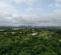 雨伞卖在撒哈拉头像