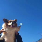 毛_衣的个人资料头像