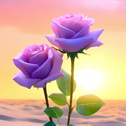 Allure805的个人资料头像