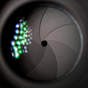 我在紐約头像