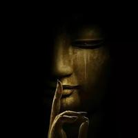 0雲淡風清0头像