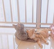 九七的个人资料头像