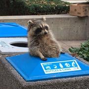 xy439的个人资料头像