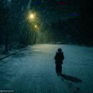 M爱学习74692的个人资料头像