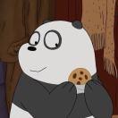 Robin爱学习66903的个人资料头像