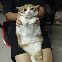 桥头一块砖头像