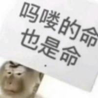 用户49610142头像