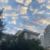 大弟的vIog头像