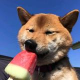 心悦君兮头像