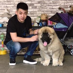 老九犬舍头像