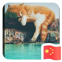 用户7824255585971头像