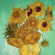 思道普75222的个人资料头像