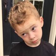 breeze_whisper的个人资料头像