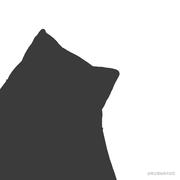 xi1213的个人资料头像