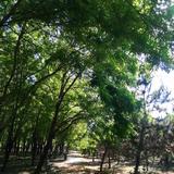 一米阳光3723213504331头像