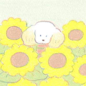 元元嚛头像