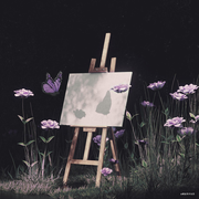 creamcoder的个人资料头像