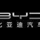 安庆顺迪比亚迪
                        头像