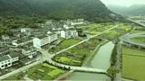加油诸葛142头像