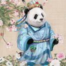 yt油条的个人资料头像