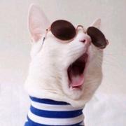 从一而终861的个人资料头像