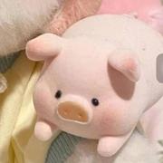 用户2034296192619的个人资料头像