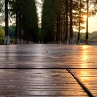 浩然阳光111601861头像