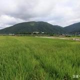 陈师傅跑车头像