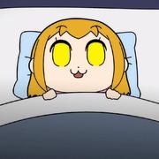 曲莫终的个人资料头像