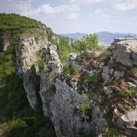 兔子要泡茶头像