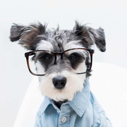 许多多的个人资料头像