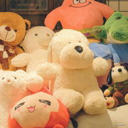 李初见的个人资料头像