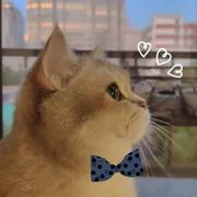 筠溪氺杉的个人资料头像