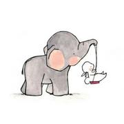 fieldset的个人资料头像