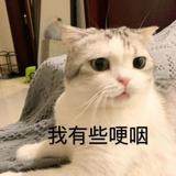 他叫啊喂头像
