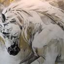 Judy不想说话105085的个人资料头像