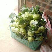 我是一杯寂寞的咖啡的个人资料头像