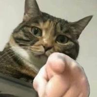 不知道叫啥8376头像