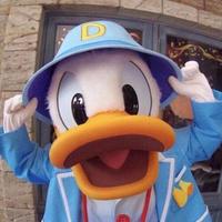 得李不饶人l头像