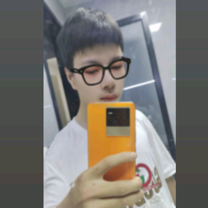 孤独的狼（d对象）头像